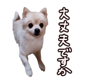 456732056