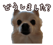 456732057