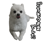 456732058