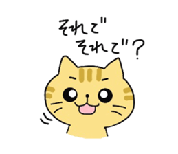 4568036
