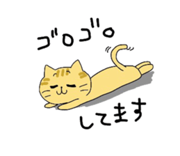 4568061