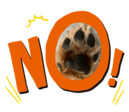 456814225