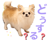 456814239
