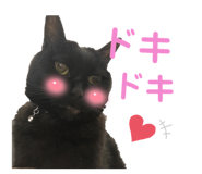 456814246