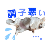 456814250