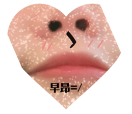 456833559