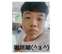 456868668