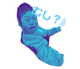 456869036