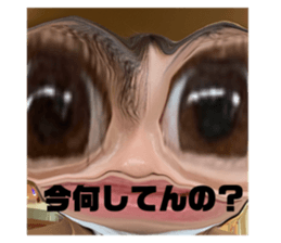 456877362