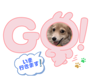 456892122