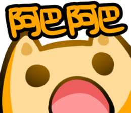 456938073