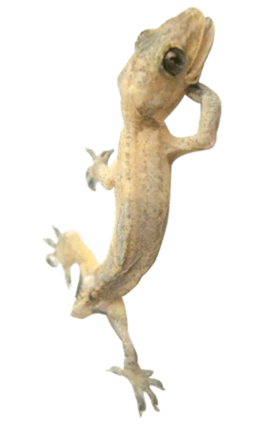 456938588