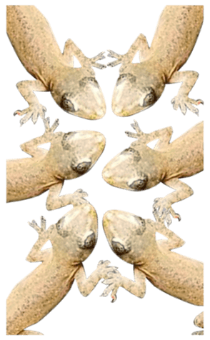 456938601