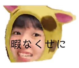 456975300