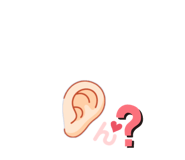456982620