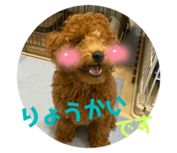 456988248