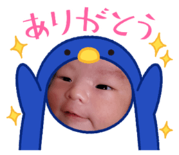 457006430