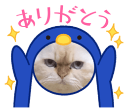 457024716