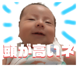 457025155