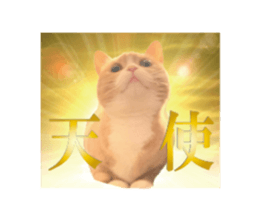 457171784