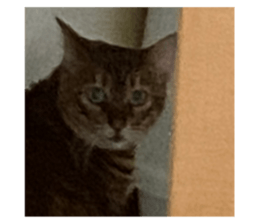 457174332
