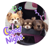 457241075
