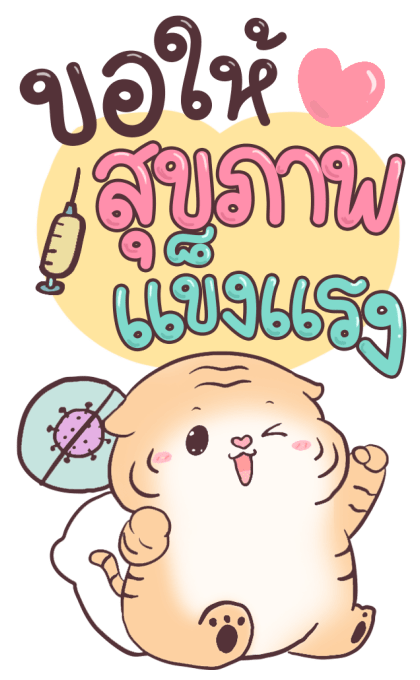 เสือน้อย ปีใหม่ รูปที่ 2