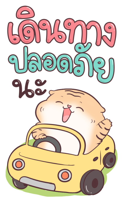 เสือน้อย ปีใหม่ รูปที่ 22