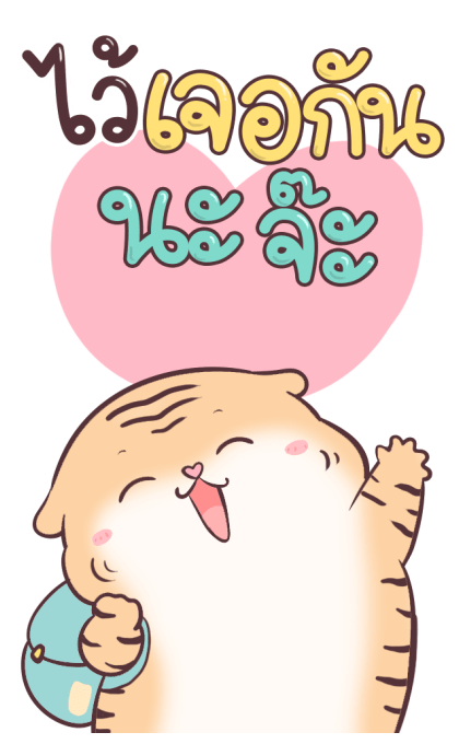 เสือน้อย ปีใหม่ รูปที่ 24