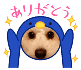 457269873