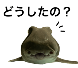 457360624