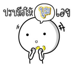 45740589