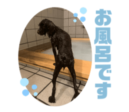 457416586