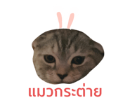 457452919