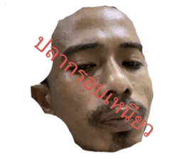 457518177