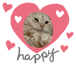 457533261