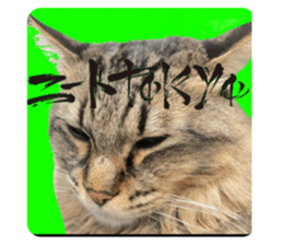 457534425