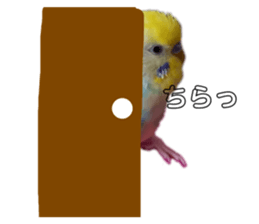 457535336