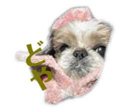 457655048