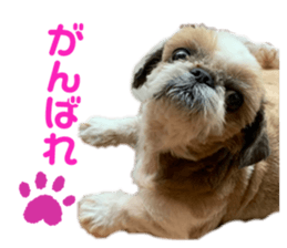 457655060