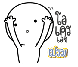 45769073