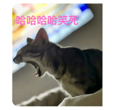 457740460