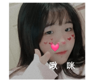 457763010