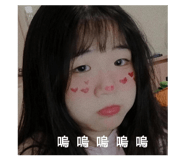 457763013