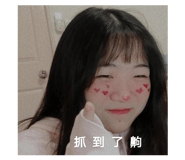 457763018