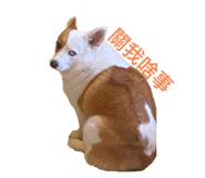 457767526