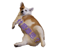 457767531
