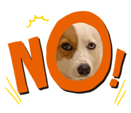 457767533