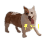 457767535