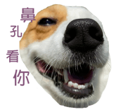 457767540